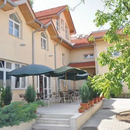 Platan Székesfehérvár