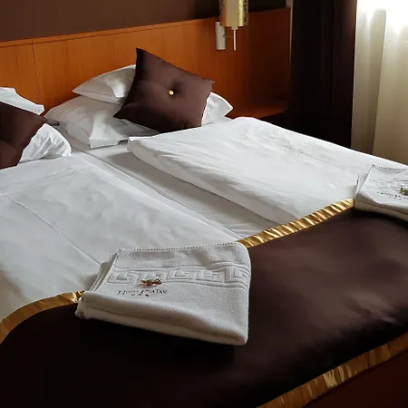 Hotell Platan 3*