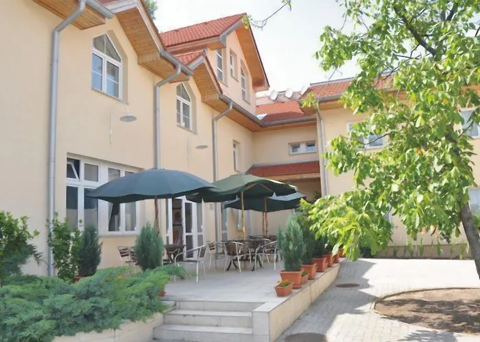 Platan Székesfehérvár