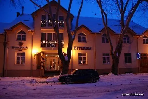 Hotel Platan